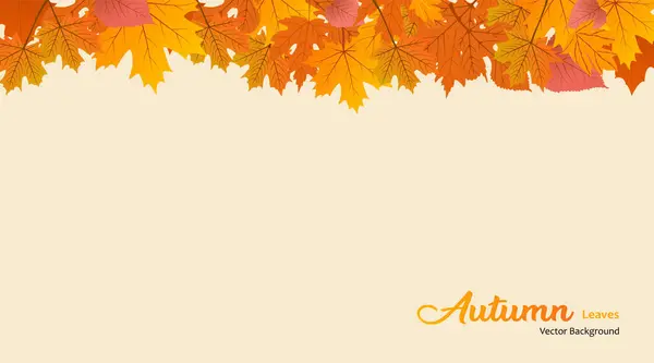 Vector Background Red Orange Brown Yellow Falling Autumn Leaves — Stock Vector