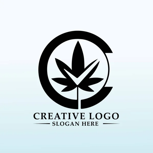 Cannabis Crescer Empresa Logotipo Design —  Vetores de Stock