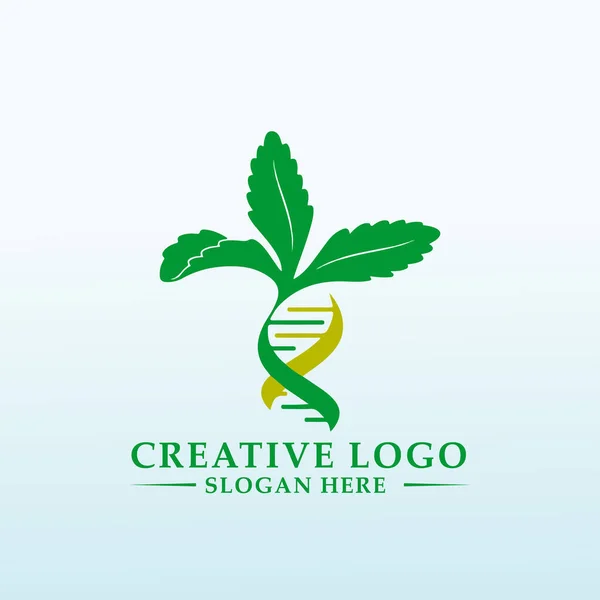 Cannabis Groeien Bedrijfslogo Ontwerp — Stockvector