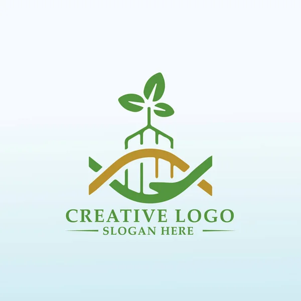 Diseño Del Logo Empresa Cannabis Grow — Vector de stock