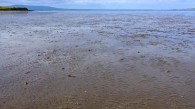 Ocean after low tide sand near the shore