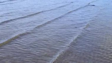 ocean view tide seaweed ireland