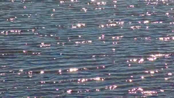Glare Water Sun Ocean Ireland — Stok Video
