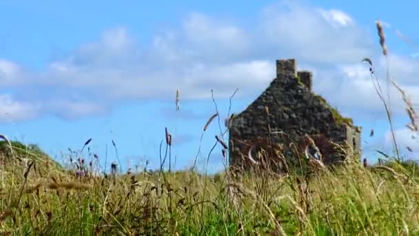 古い放棄された家 緑の芝生 アイルランドの青い空に対して — ストック動画