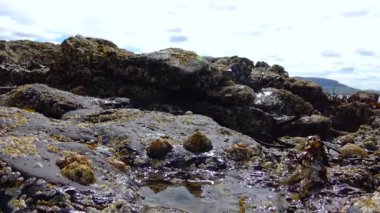 Atlantic Ocean coast at low tide Ireland