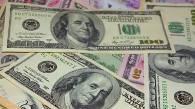 Amerikan doları, elinde banknot tutan adamı sayar.