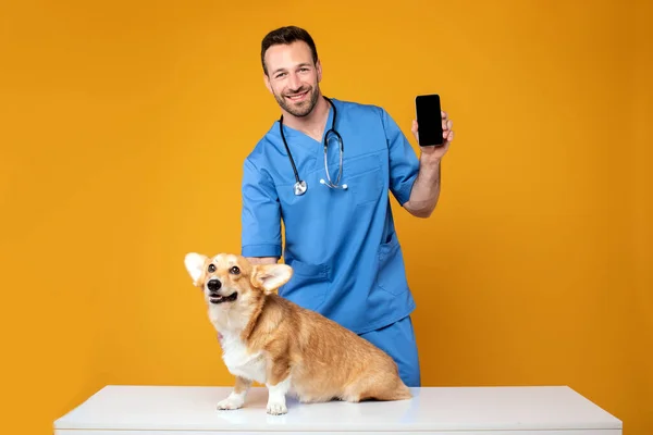 Reklama Usług Weterynaryjnych Mężczyzna Zwierzę Klinika Lekarz Pokazując Telefon Komórkowy — Zdjęcie stockowe