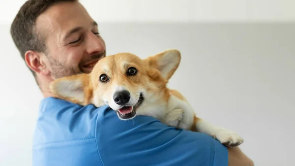 Freundlicher Tierarzt Blauer Uniform Kuschelt Umarmt Pembroke Welschen Corgi Hund — Stockfoto