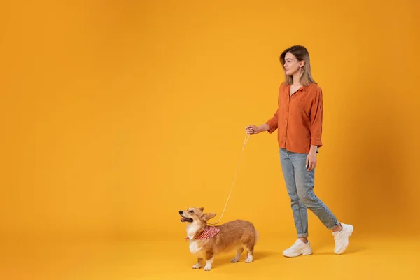 Idź Zwierzątkiem Podekscytowana Młoda Dama Spacerująca Swoim Słodkim Corgi Dogiem — Zdjęcie stockowe