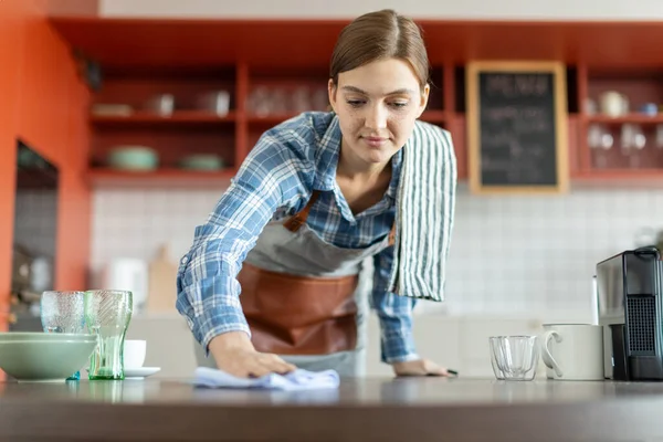 Focused lady wiping counter at her workplace in coffee shop, female barista in apron working and cleaning counter in cafeteria