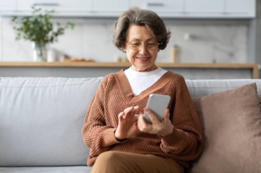 Telefonu kullanan, ekrana bakan, internetten alışveriş yapan ya da web sörfü yapan oturma odasındaki rahat koltukta oturan mutlu yaşlı kadın.