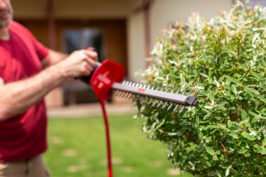 Arka bahçede çalışırken elinde elektrikli çim biçme makinesi tutan erkek bahçıvanın yakın çekimi. Bahçe ve peyzaj kavramı