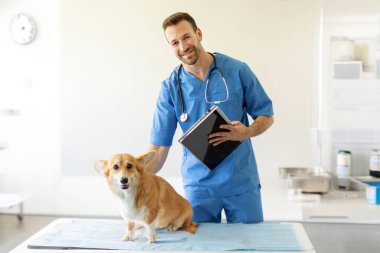 Veteriner muayenehanesinde muayeneden önce Pembroke Welsh Corgi köpeğini sevmiş.