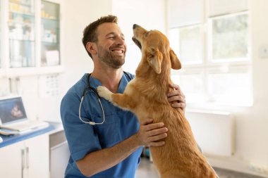 Üniformalı mutlu erkek veteriner klinikte tedavi sonrası Pembroke Welsh Corgi köpeği ile sarılıp oynuyor.