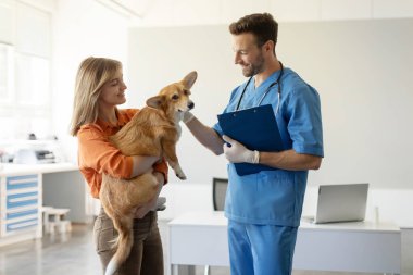 Veteriner muayenesi sırasında Pembroke Welsh Corgi köpeğini tutan mutlu kadın, bayanla konuşan erkek veteriner. Pozitif veteriner ziyareti ve hayvan bakımı etkileşimi