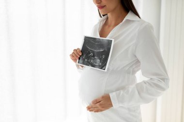 Pregnant lady showing baby ultrasound photo and embracing belly, showing sonography shot, standing near window at home, free space clipart