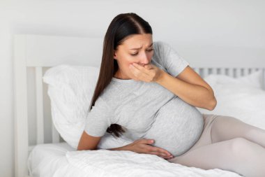 Beklenti zehirlenmesi. Genç hamile kadın mide bulantısı çekiyor, kusan kadın yatakta oturuyor ve sabah ağzını kapatıyor. Ebeveynlik kavramı