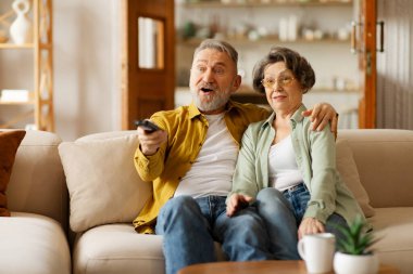 Uzaktan kumandalı duygusal yaşlı çift evde televizyon seyrediyor, birlikte akşamın tadını çıkarıyor, kanepede dinleniyorlar. Eğlence ve emeklilik kavramı