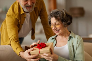 Kıdemli koca yıldönümünde karısına hediye kutusu veriyor, evdeki kanepede oturuyor, erkek paketlenmiş kutuyu kadına veriyor.