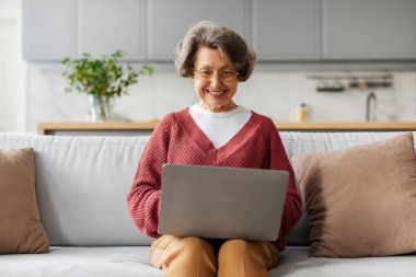 Kanepede oturmuş laptopla meşgul olan, internetten alışveriş yapan ya da oturma odasındaki interneti karıştıran neşeli, modern son sınıf kadını.