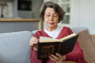 Evde kanepede oturup, ilginç edebiyatla vakit geçirirken kitap okuyan zeki, yaşlı bir kadın. Emeklilik konsepti üzerine hobi