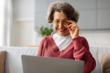 Diz üstü bilgisayarda yazan, video izleyen, internette gezinen, evdeki kanepede oturan yaşlı, gri saçlı mutlu bir kadın. Emeklilikte modern aygıt