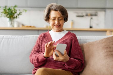 Modern son sınıf öğrencisi kadın cep telefonu kullanmaktan, mesaj yazmaktan, sosyal medyaya bakmaktan, oturma odasında kanepede oturmaktan hoşlanıyor.