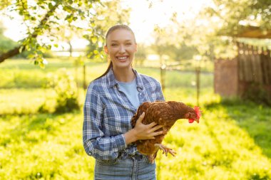 Tavuk tutan mutlu genç kadın çiftçi, arka bahçede ya da çiftlikte duruyor, kameraya poz veriyor ve gülümsüyor. Kır hayatı kavramı
