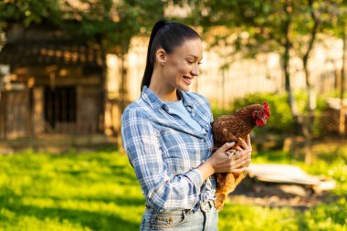 Çiftlikte tavuk tutan Avrupalı kadın çiftçi, arka bahçede dikiliyor. Sağlıklı yaşam tarzı ve organik tarım kavramı