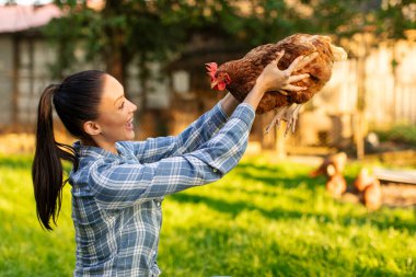 Heyecanlı çiftçi kadın tarlada kahverengi tavuk tutuyor çiftlik hayvanlarına sürdürülebilir bakım yapıyor. Kümes hayvanları girişimcisi, kırsal ya da tarım