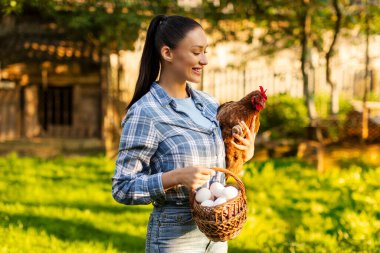 Genç çiftçi kadın taze yumurta ve tavuk dolu sepeti sunuyor, güneşli yaz gününde çiftliğin arka bahçesinde duruyor.