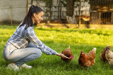 Tavuklarını besleyen genç bir kadın çimenlerin üzerinde diz çökmüş, tavuklar çiftliğin arka bahçesinde yürüyor, yandan çekilmiş.