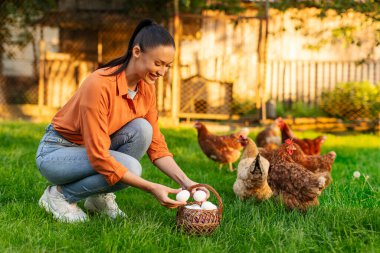 Genç dişi çiftçi tavuk çiftliğinde taze organik yumurta topluyor, çim tarlasında yürüyen tavukların yanında diz çöküyor. Modern özel kümes hayvanları.
