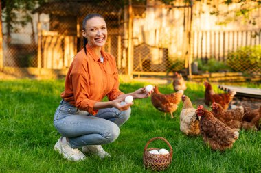 Küçük bir yerel işletme. Genç çiftçi kadın tavuk çiftliğinde taze yumurta topluyor. Modern kümes hayvanları konsepti