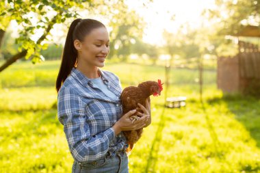 Neşeli genç çiftçi kadın çiftlikte tavuk tutuyor güneşli bir günde açık havada yürüyor. Geleneksel kümes hayvanları organik tarım sahibi
