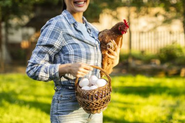 Elinde taze yumurta ve tavuk sepeti olan genç bir kadın çiftlik bahçesinde duruyor.
