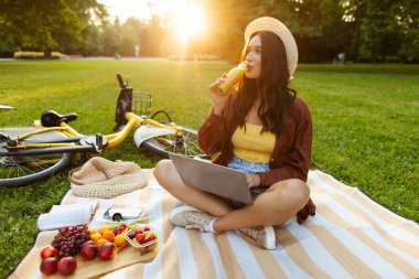 Genç bayan piknik yaparken ve meyve suyu içerken dizüstü bilgisayar kullanıyor, çimlerin üzerinde çimlerin üzerinde oturuyor ve meyvelerini yiyor.