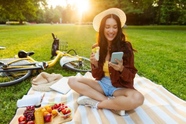 Çerez yiyen ve cep telefonu kullanan bir kadın piknik minderinde oturup çimlerin üzerinde güneşli yaz günlerinde parkta dinleniyor.