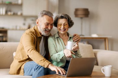 İnternetten laptop alışverişi yapan mutlu kıdemli eşler mi yoksa ailesiyle video görüşmesi mi? Oturma odasında kanepede oturmak mı?