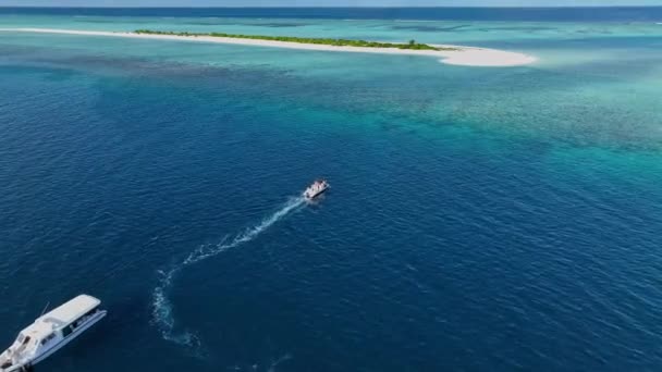Vacker Flicka Graciöst Paddelbrädor Turkos Maldiviska Vatten Fångas Ovanifrån Fantastisk — Stockvideo