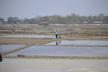 Salt farmers regulate the flow of sea water that enters the salt pond. when the sea water in the salt pond is dry, it needs to be flowed again to get a lot of salt crystals