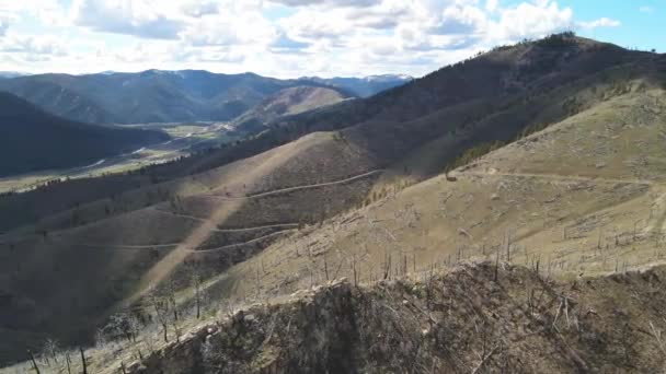Alberi Caduti Oregon Con Vista Sulle Montagne Lontananza Autostrada Sottostante — Video Stock