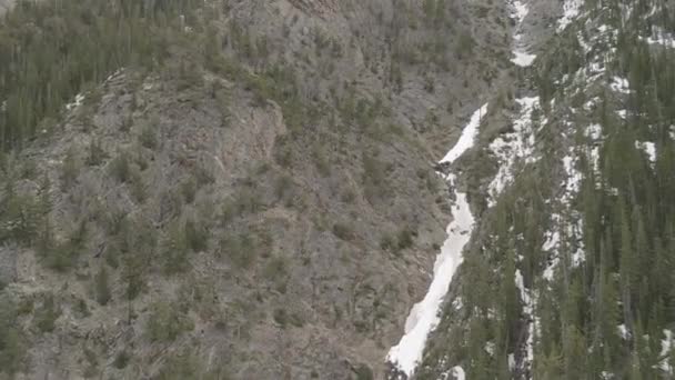 Mendaki Gunung Berbatu Tinggi Dengan Drone Dengan Pohon Pinus Yang — Stok Video