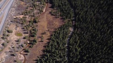 Colorado 'da bir otoyol boyunca uzanan bir çam ağacı denizi..
