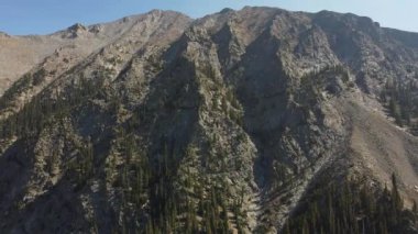 Colorado 'daki dağ zincirinde çam ağaçları olan keskin uçurumlar.