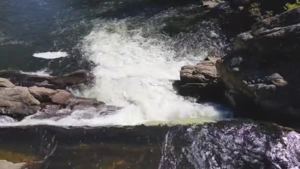 Apă Frumoasă Care Mișcă Pârâu Filmat Dintr Dronă — Videoclip de stoc