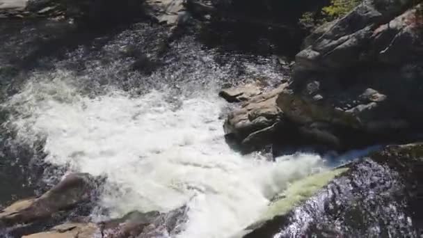 Piękna Woda Płynąca Dół Strumienia Sfilmowanego Drona — Wideo stockowe