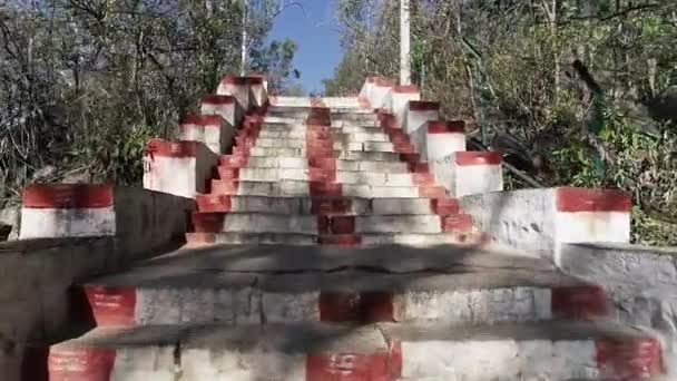 아스파라거스 역사적 기다란 계단을 오르는 — 비디오
