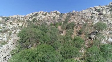 Antaragange tapınağının ormanlarındaki inanılmaz kaya parçalarının yükselişi. Güneşli bir günde kolar