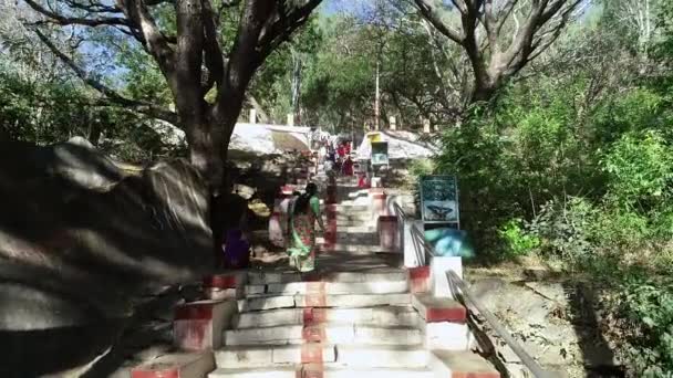 印度科拉尔2021年2月21日 一位印度妇女在阳光明媚的日子爬上了古寺的长廊 — 图库视频影像